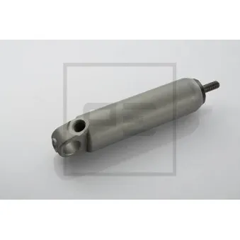 Vérin PE Automotive 026.028-00A