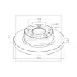 PE Automotive 026.669-10A - Jeu de 2 disques de frein avant