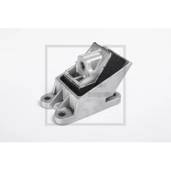 Support moteur PE Automotive 030.245-00A pour MAN TGL 8,240 - 240cv