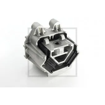 Support moteur PE Automotive 030.249-00A pour MAN TGX 26,580 - 581cv