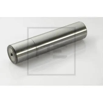 Pivot de fusée d'essieu PE Automotive 031.062-00A