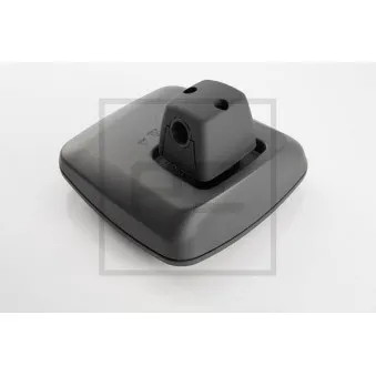 Miroir à grand angle PE Automotive 038.117-00A