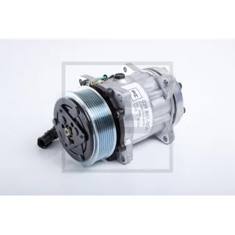 Compresseur, climatisation PE Automotive 039.801-00A pour DAF XF 105 FAR 105,510 - 510cv