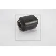 PE Automotive 043.905-00A - Suspension, ressort à lames