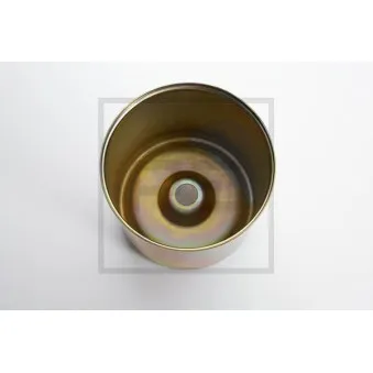 Diaphragme, soufflet à air PE Automotive OEM 0313939430