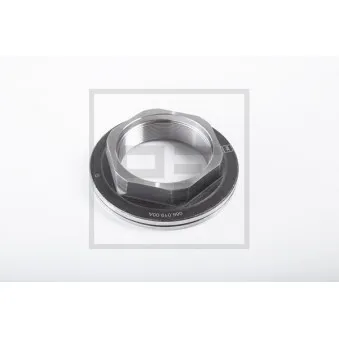 Écrou d'essieu PE Automotive OEM 1011008700