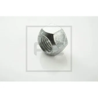 Écrou PE Automotive OEM 913004010008