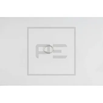 Bague d'étanchéité PE Automotive OEM 007603016100 Bague d'étanchéité PE Automotive OEM 007603016100