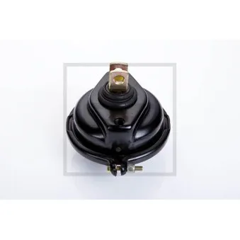 Cylindre de frein à diaphragme PE Automotive 076.430-00A pour MERCEDES-BENZ AXOR 2 1823 AK, 1824 AK - 231cv