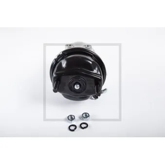 Cylindre de frein à ressort PE Automotive 076.582-00A pour SCANIA 4 - series 114 L/380 - 381cv