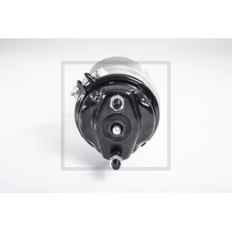 Cylindre de frein à ressort PE Automotive 076.791-10A pour MAN TGA 26,530 - 530cv