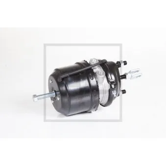 Cylindre de frein à ressort PE Automotive 076.812-10A pour SCANIA 4 - series 94 D/310 - 310cv