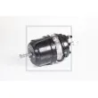 PE Automotive 076.813-10A - Cylindre de frein à ressort