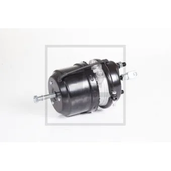 Cylindre de frein à ressort PE Automotive 076.813-10A pour SCANIA 4 - series 114 L/380 - 381cv