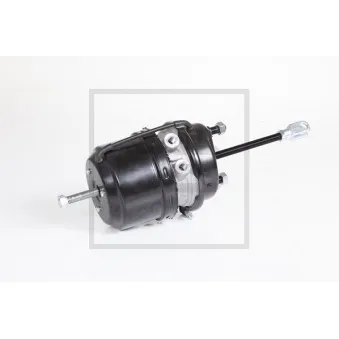 Cylindre de frein à ressort PE Automotive 076.813-20A pour SCANIA P,G,R,T - series R 620 - 619cv