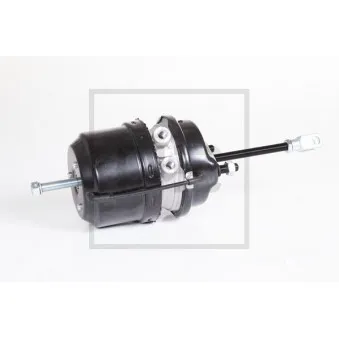 Cylindre de frein à ressort PE Automotive 076.813-30A pour SCANIA 4 - series T 114 C/340 - 340cv