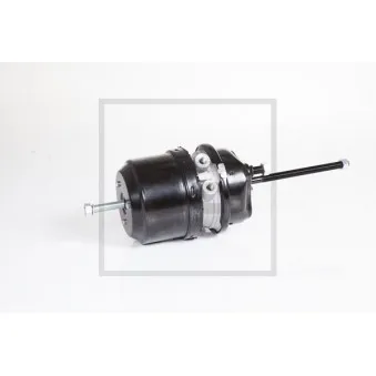 Cylindre de frein à ressort PE Automotive 076.825-00A pour VOLVO FM FM 380 - 380cv