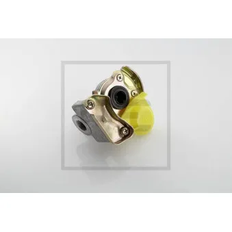 Tête d'accouplement PE Automotive 076.919-10A