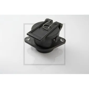 Prise PE Automotive OEM 98491404