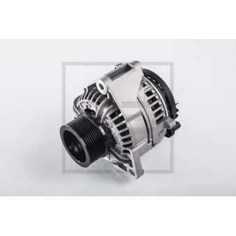 Alternateur PE Automotive OEM 1697022