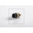 Sonde de température, liquide de refroidissement PE Automotive [080.370-00A]