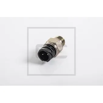 Interrupteur PE Automotive OEM 81255050930