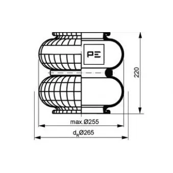 Ressort pneumatique, suspension pneumatique PE Automotive 084.205-71A pour MERCEDES-BENZ ANTOS 1846 L - 455cv