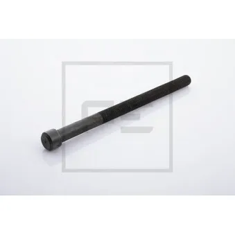 Boulon central PE Automotive OEM 178100
