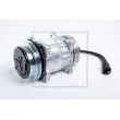 PE Automotive 109.800-00A - Compresseur, climatisation