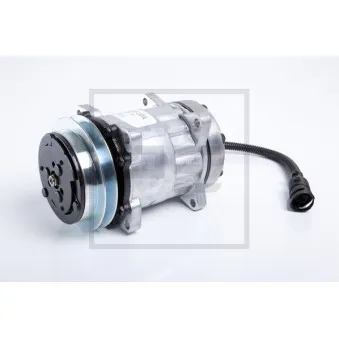 Compresseur, climatisation PE Automotive 109.800-00A pour DAF XF 95 FTT 95,480 - 483cv