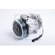 PE Automotive 109.801-00A - Compresseur, climatisation