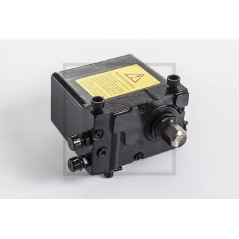 PE Automotive 123.613-00A - Pompe de basculement, cabine
