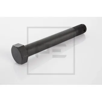Boulon PE Automotive OEM 01338491