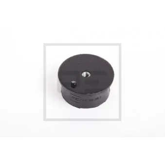 PE Automotive 140.139-00A - Support moteur