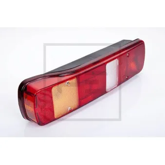 Feu arrière PE Automotive OEM 20565103