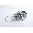Pompe hydraulique, direction PE Automotive [142.500-00A]