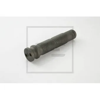 PE Automotive 144.060-00A - Axe de ressort