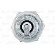 VALEO 246879 - Bougie d'allumage