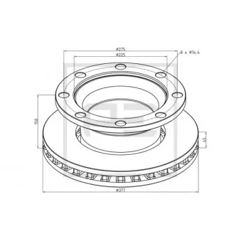 Jeu de 2 disques de frein avant PE Automotive OEM 5021200858