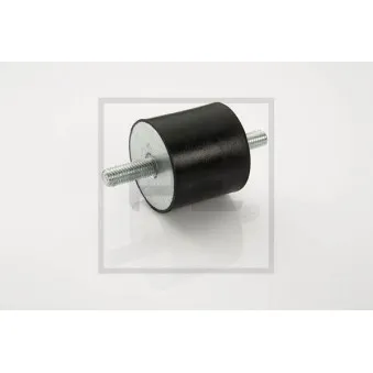 Suspension, radiateur PE Automotive 810.024-50A