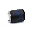 Ressort pneumatique, suspension pneumatique SAMPA [SP 556260-KP]