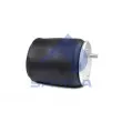 Ressort pneumatique, suspension pneumatique SAMPA [SP 556318-KP]