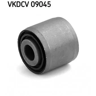Coussinet de palier, stabilisateur SKF VKDCV 09045