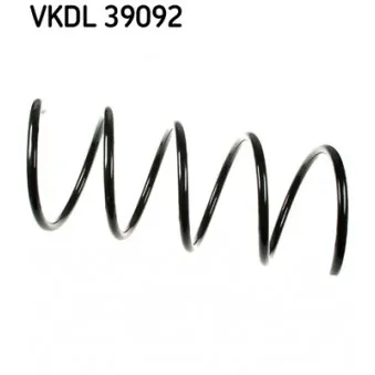 Ressort de suspension SKF OEM 2033214204