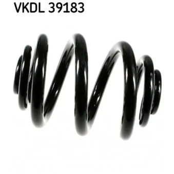 Ressort de suspension SKF OEM 6383240504