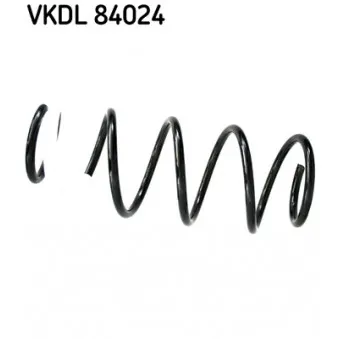 Ressort de suspension SKF OEM DR6134011A