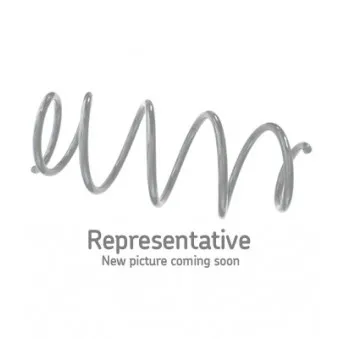 Ressort de suspension SKF OEM KD3134011A