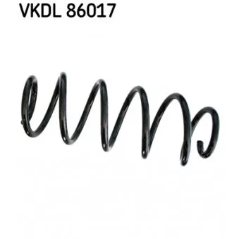 Ressort de suspension SKF OEM 4131163J10