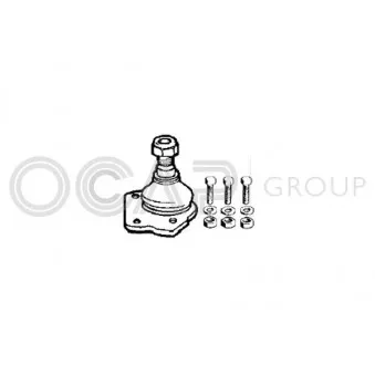 Rotule de suspension OCAP [0400268]