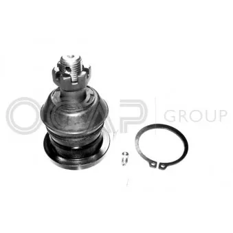 OCAP 0404115 - Rotule de suspension